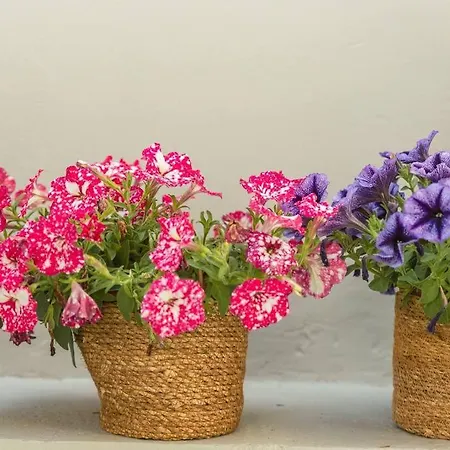 G&m Luxury With Pool * La Canea