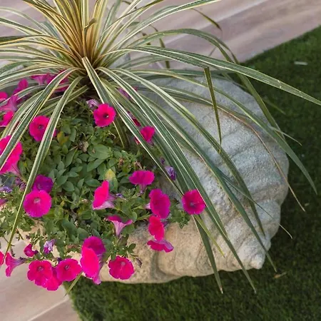 G&m Luxury With Pool *