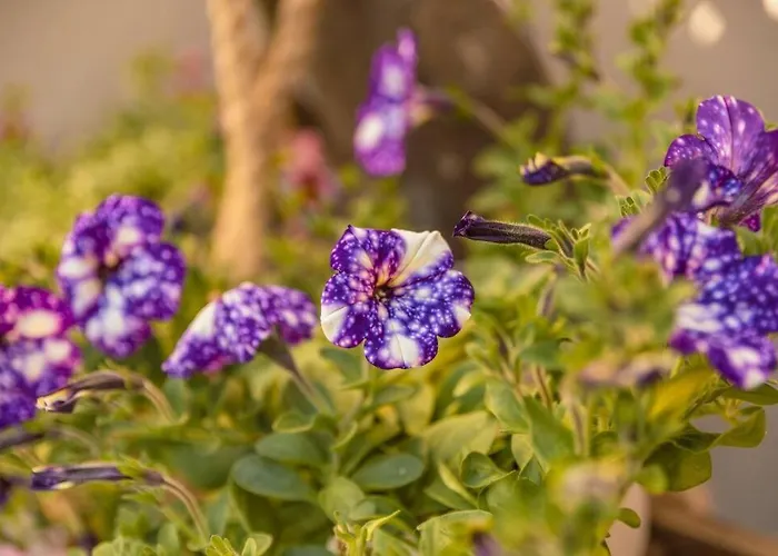 G&m Luxury With Pool Διαμέρισμα Χανιά