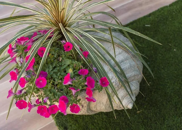 G&m Luxury With Pool *