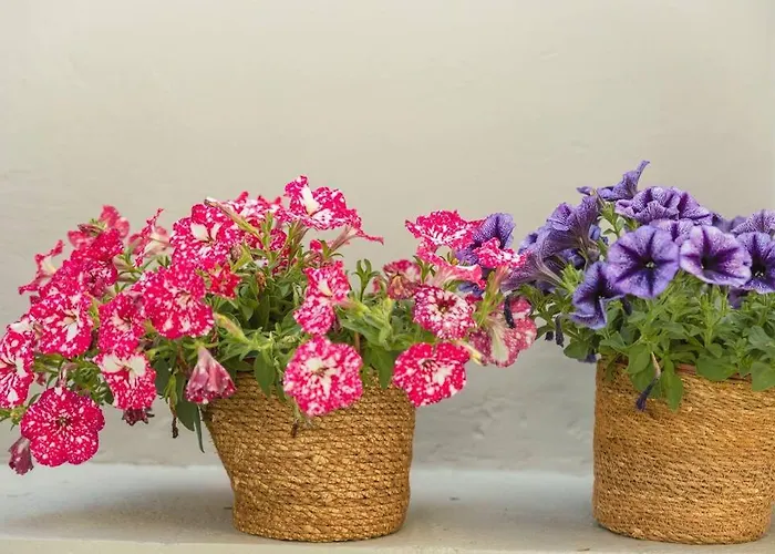 G&m Luxury With Pool * Chania (Crete)